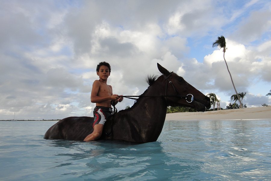 Horse Back Riding at Lighthouse Bay Resort image