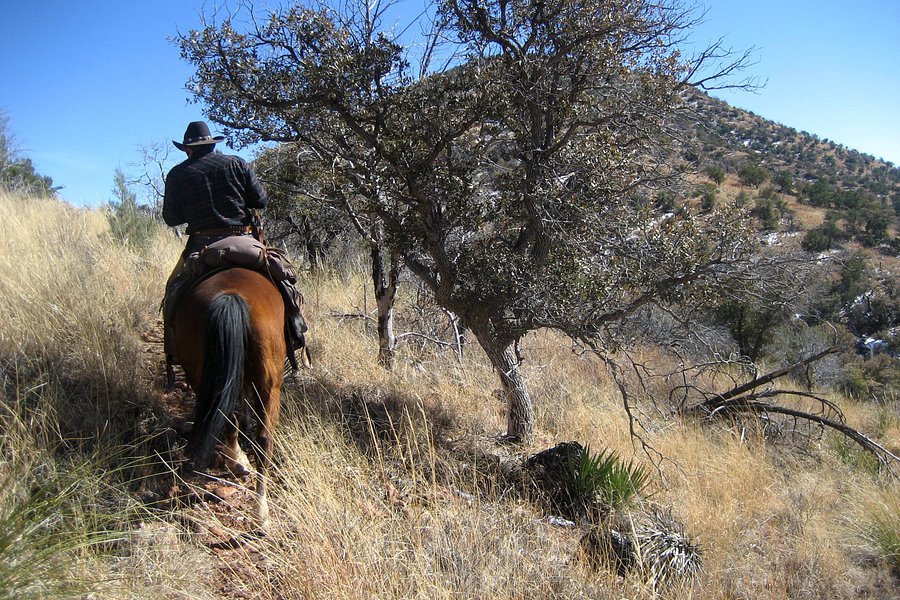 Arizona Horseback Experience image