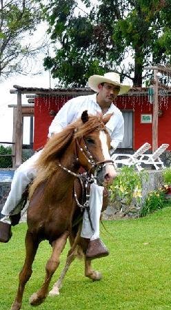 Imagen 9 de Los Bandidos, Vineyard and Peruvian horseback rides