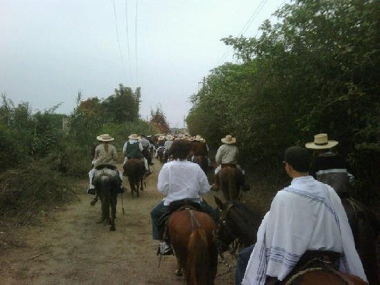 Imagen 8 de Los Bandidos, Vineyard and Peruvian horseback rides