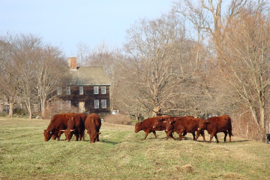 Watson Farm image