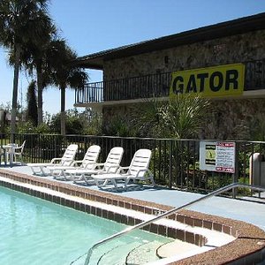 Swimming Pool Gator Motel