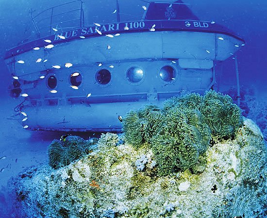 Blue Safari Submarine image