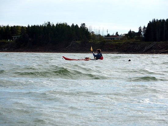 Acadian Coast Kayak Adventures image