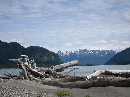 Wrangell review images