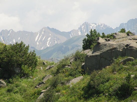 Ruslan Tours of Aksu-Zhabagly Nature Reserve image