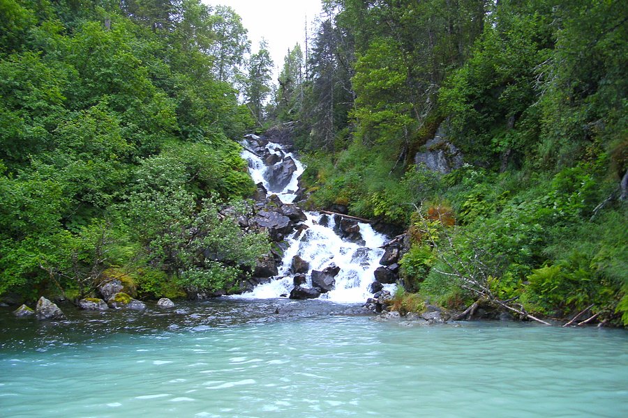 Alaska River Adventures - Day Tours image