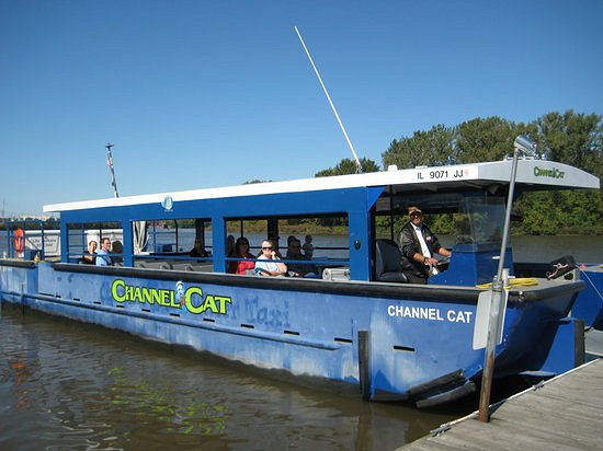 Channel Cat Taxi image