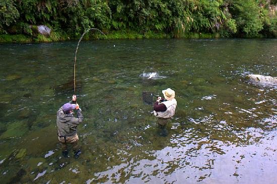 The New Zealand Flyfishing Company - All You Need to Know BEFORE You Go  (2024)