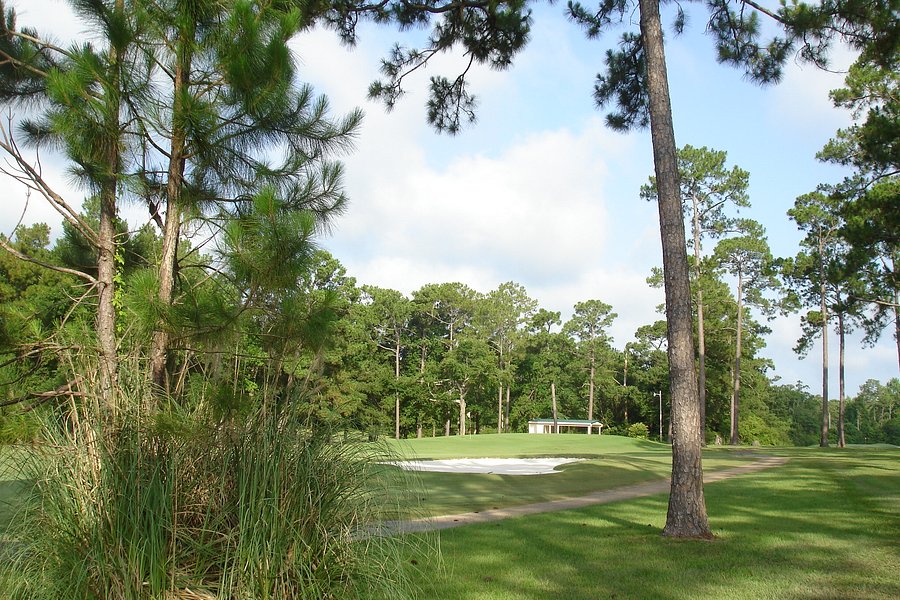 Mississippi National Golf Club image