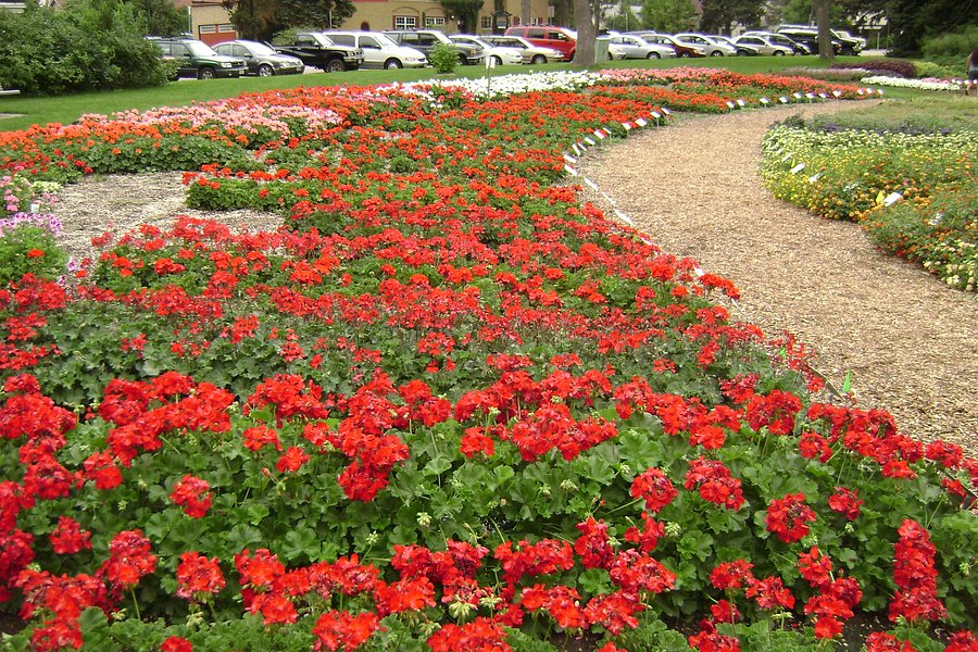 Annual Flower Trial Garden image