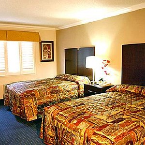 Guest Room 2 Beds