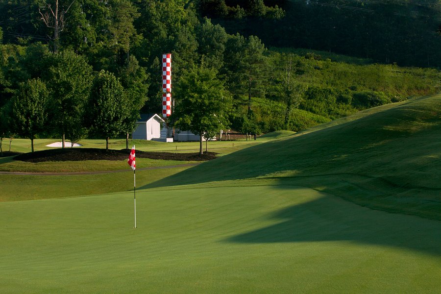 Steel Canyon Golf Club image