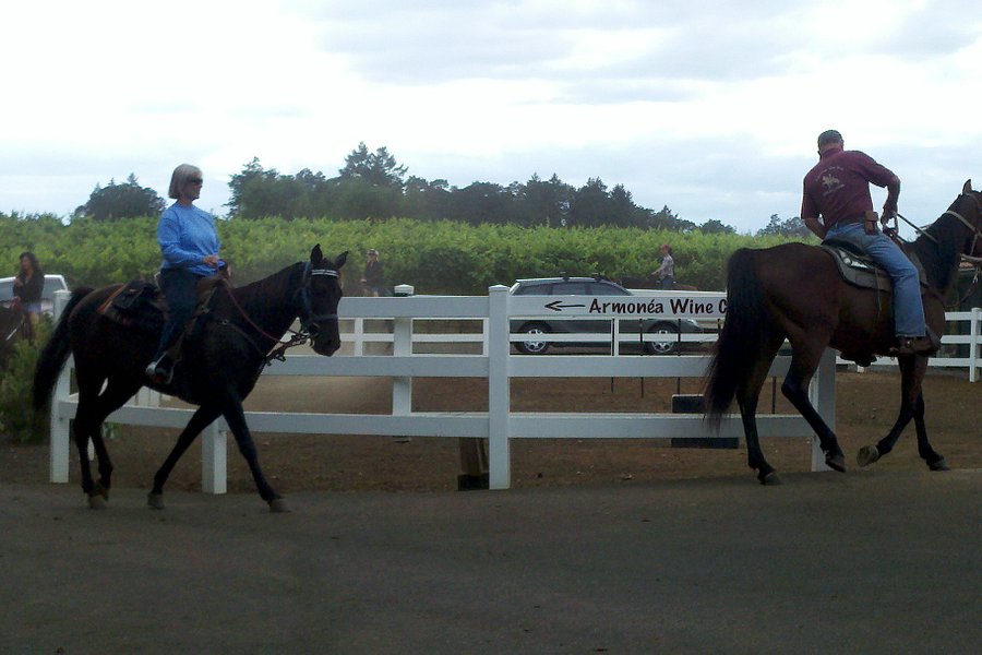 Equestrian Wine Tours image