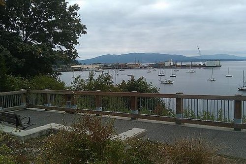 Bellingham review images