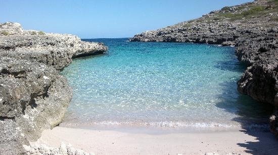 Imagen 24 de Alua Illa de Menorca
