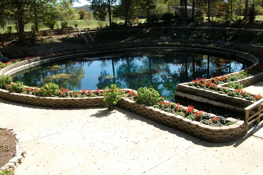Eureka Springs Gardens image