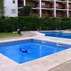 Club Playa Flores, hotel en Torremolinos