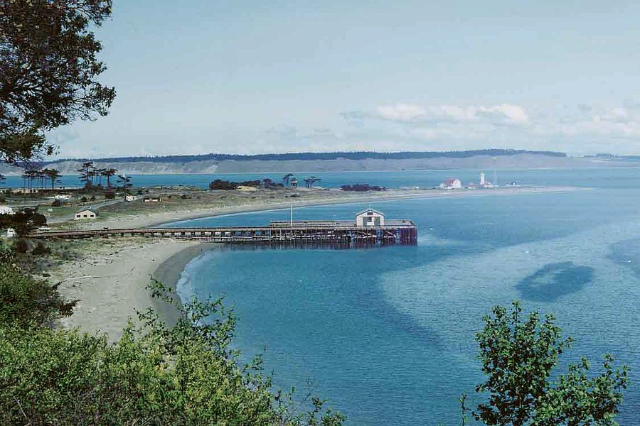 Port Townsend Marine Science Center image