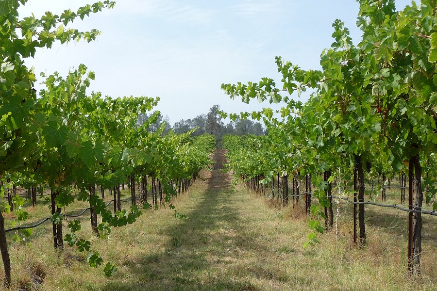 Madera Wine Trail image