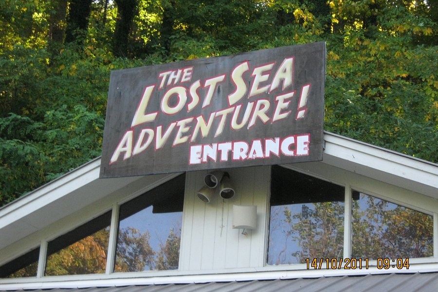 The Lost Sea Adventure image