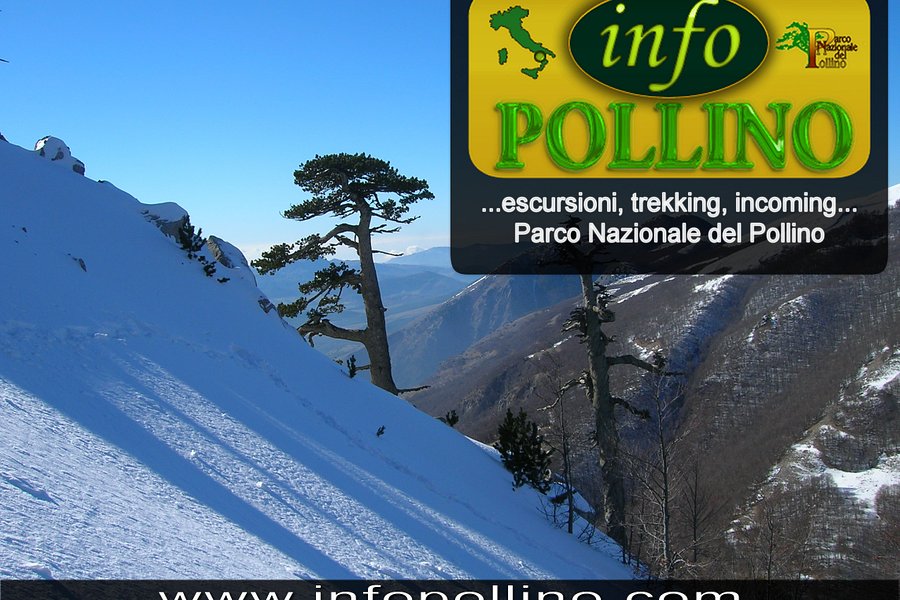 Info Pollino image