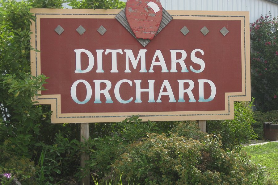 Ditmars Orchard image