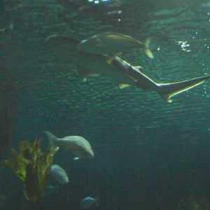 Close to Napier Aquarium