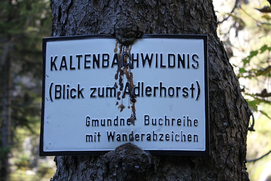 Kaltenbachwildnis image