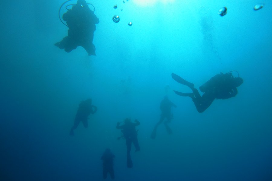 Punta Uva Dive Center image