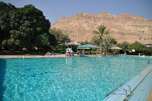 Kibbutz Ein Gedi Country Hotel Updated 2023 Prices And Reviews Israel