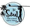 Del Soul Surf School