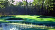 Pine Needles Golf Club image