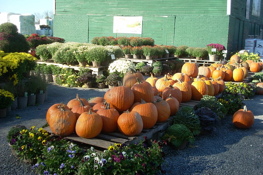 Schoharie Valley Farms image