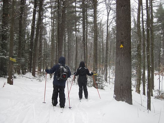 Windblown Cross Country Skiing and Snowshoeing image