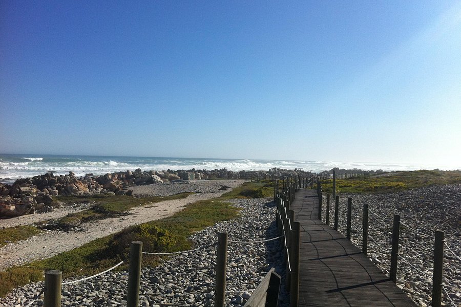 Cape Agulhas - Southernmost Tip of Africa image