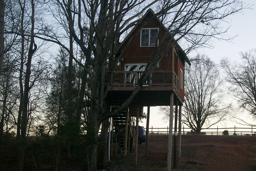 Treehouse Vineyards image