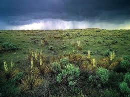 Comanche National Grassland image
