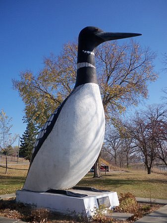World's Largest Loon image