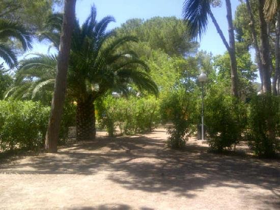 Imagen 8 de Parco Ibiza