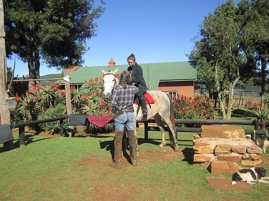 Kaapsehoop Horse Trails Day Trips image