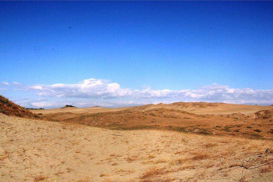 La Paz Sand Dunes image