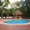 Blue Star Dive &amp; Resort, hotel in Bohol Island