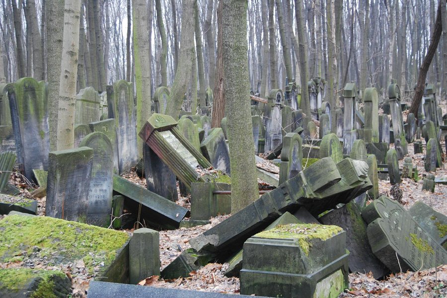 Jewish Cemetery (Cmentarz Zydowski) image