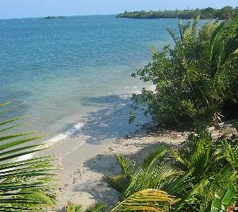 Barebones Tours, Day and Night Tours (Placencia) - All You Need to Know ...