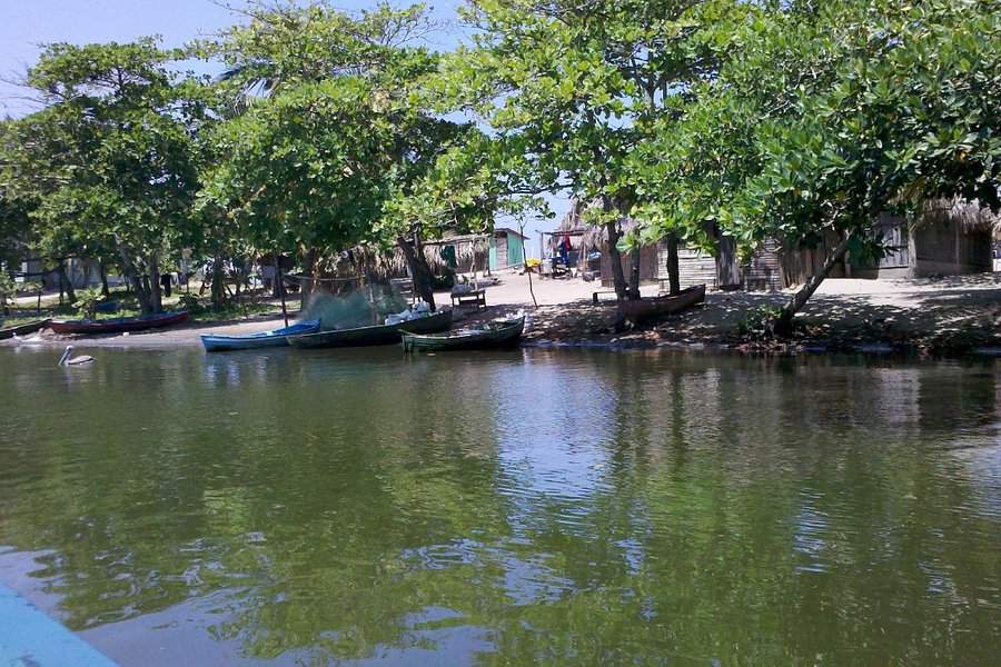 Miami Garifuna Village image