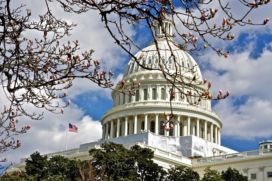 U.S. Capitol image