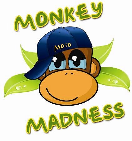 Monkey Madness - All You Need to Know BEFORE You Go (with Photos)