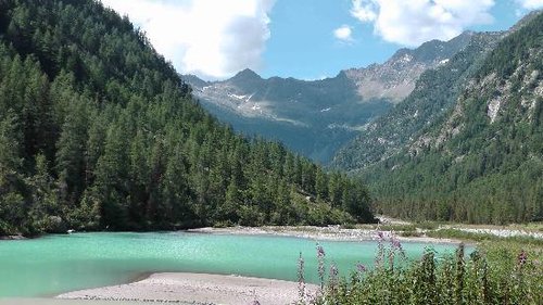 Province of Verbano-Cusio-Ossola review images