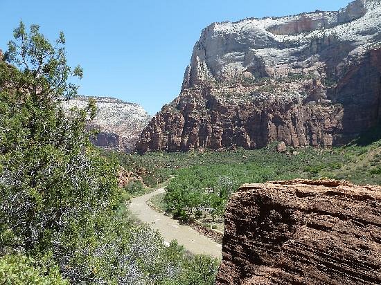 THE 15 BEST Things to Do in Zion National Park - UPDATED 2021 - Must